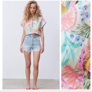 Zara Fruit Print Top